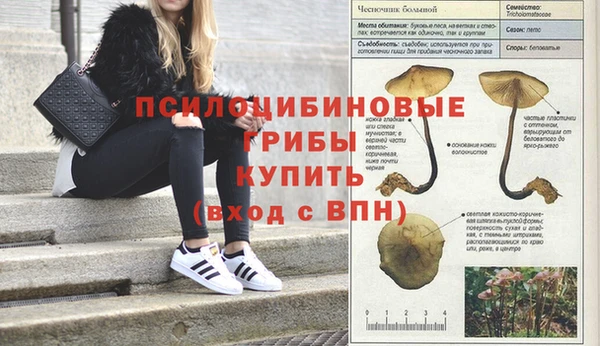 прущая мука Пестово