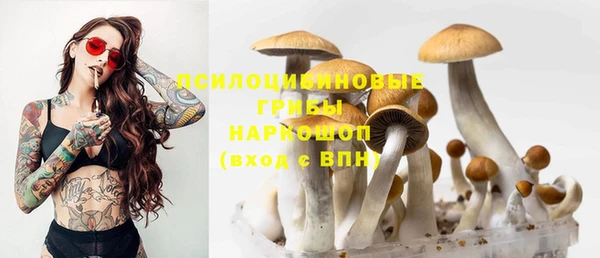 мескалин Покровск