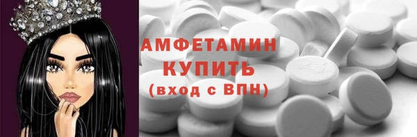гидра Покачи