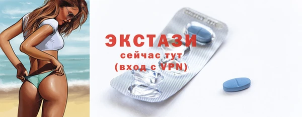 гидра Покачи