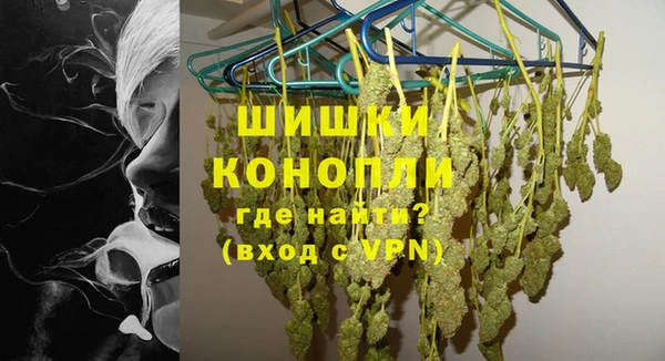 гидра Покачи