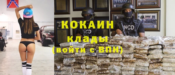 гидра Покачи