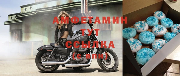 гидра Покачи